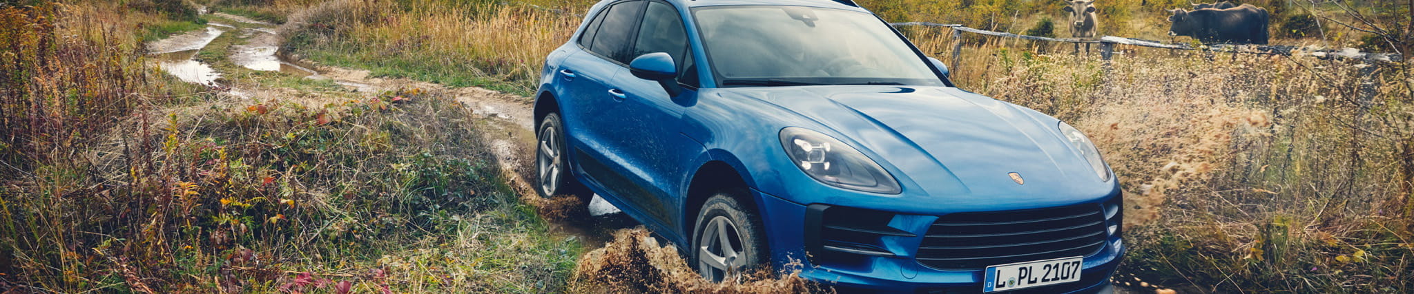 Porsche Macan blue