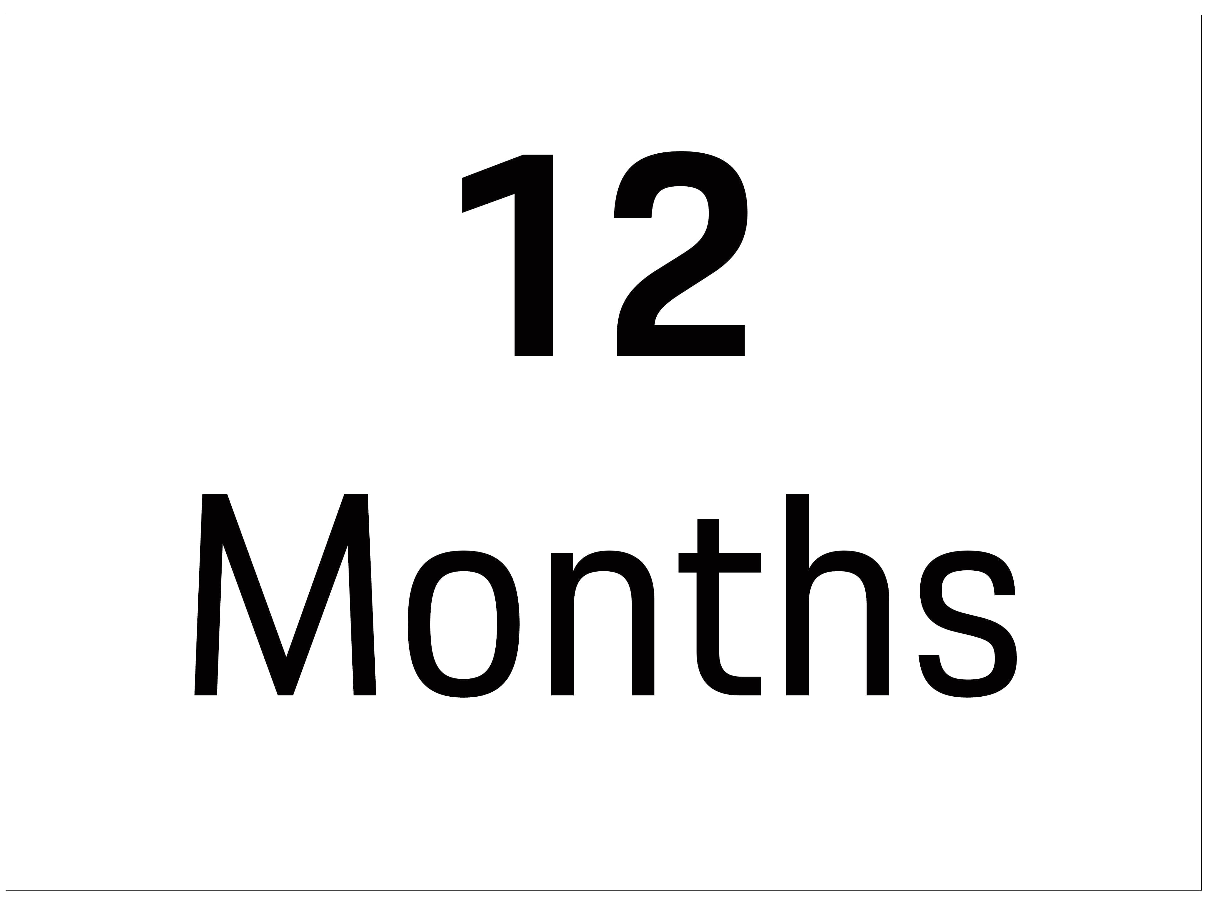 12 Month Term