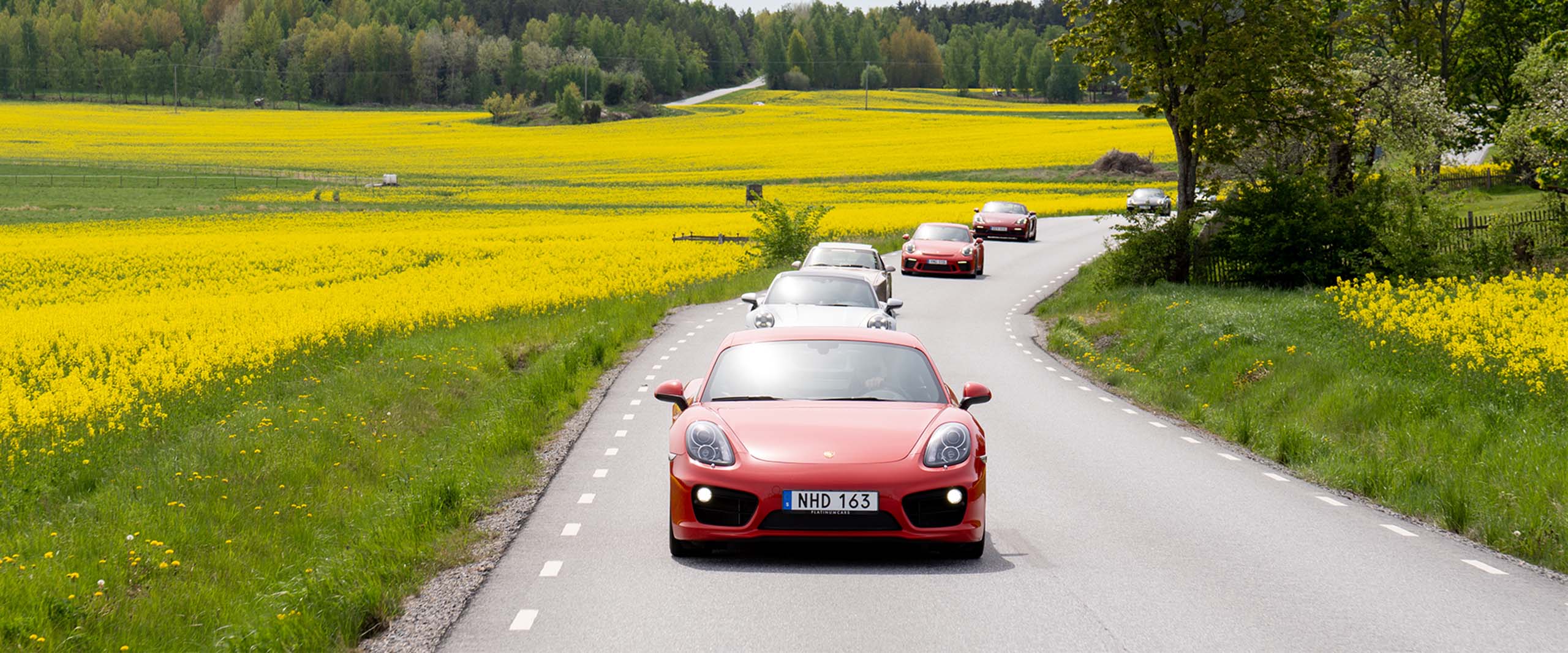Weekend Drive